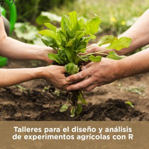 Talleres R